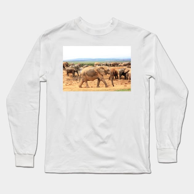 African Wildlife Photography Elephant Cameo Long Sleeve T-Shirt by PathblazerStudios